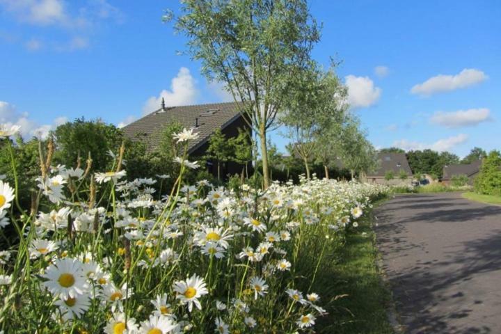 Bergen Holiday Home Schoorl Exterior foto
